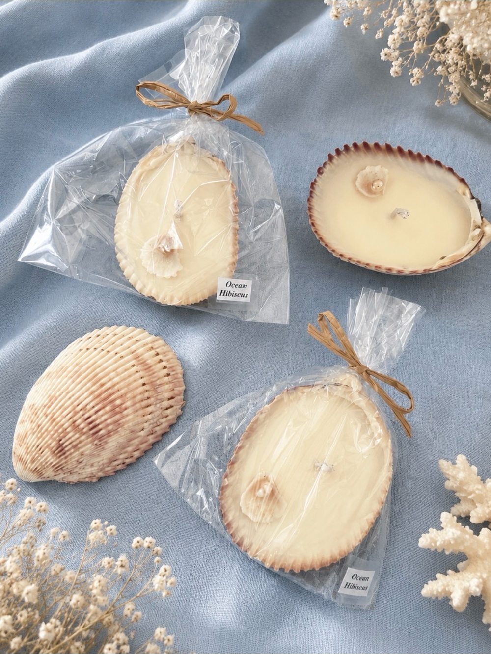 Seashell soy Candle